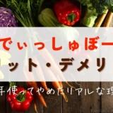 【本音レビュー】らでぃっしゅぼーやのメリット・デメリット｜8年間使ってやめた理由も紹介