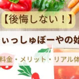 【後悔しない！】らでぃっしゅぼーや徹底解説｜料金・メリット・リアルな体験談でわかる完全ガイド